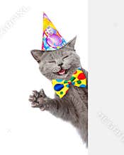Happy cat in birthday hat peeks out from behind a banner and waving his paw. isolated on white background