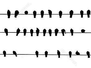 Birds On a Wire