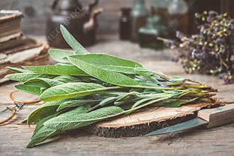 Fresh sage, medicinal herbs, books, tea kettle and glass bottles of essential oil and tincture.