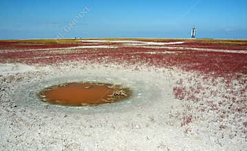 Unusual landscape of desert Tendra island,Ukraine