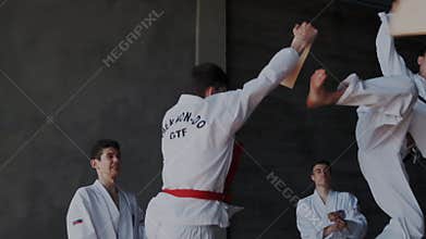 Group of titul taekwondo male sportsmans perform spectacular original fight stance. Guys break and crash wooden plate in