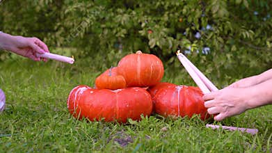 Two girls light candles on Halloween orange pumpkin. Pile of different sized orange pumpkins in the market lies on green grass on