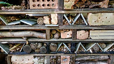 Recycled Insect House, Habitat, Home