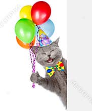 Happy Cat in birthday hat holding balloons and peeking from behind empty board. isolated on white background