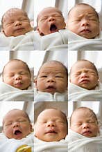 New Born Baby Faces