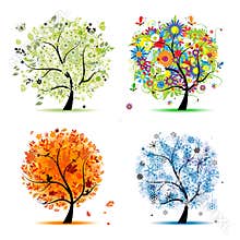 Four seasons - spring, summer, autumn, winter tree
