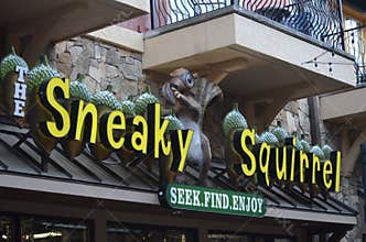Sneaky Squirrel Store in Pigeon Forge Tennessee