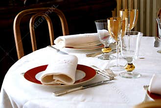 Elegant dinner