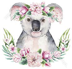 A poster with a koala. Watercolor cartoon koala tropical animal illustration. Jungle exotic summer print.