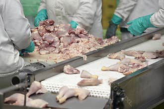 Food industry