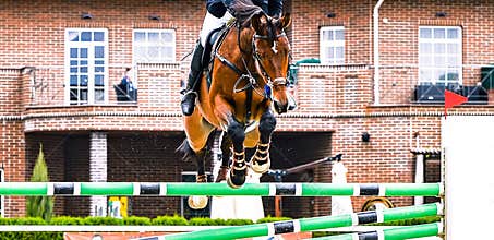 Sorrel dressage horse and rider in red uniform performing jump at show jumping competition.