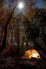 Camping at night