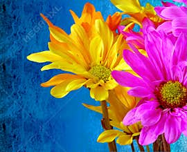 Contrast - Rain or Shine