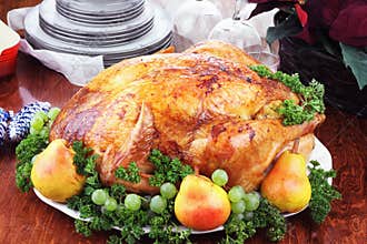 Christmas Turkey Dinner