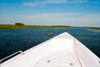 Wild danube from little boat