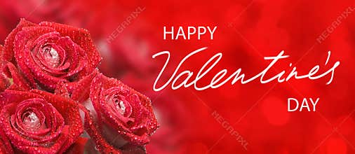 happy valentines day with beautiful flowers on colorful background