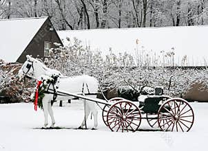 Winter landscape