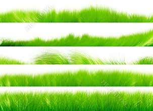Grass Brush Set 01