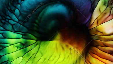 Fantastic structure of colorful paint. Liquid color ink explosion