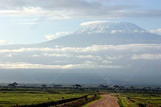 To Kilimanjaro