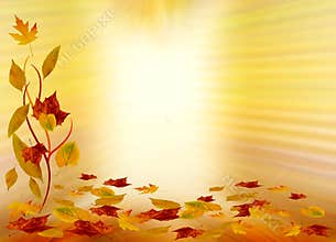 Autumn background