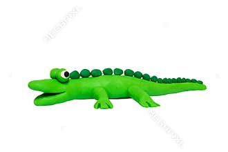 Cartoon characters,alligator isolated on white background
