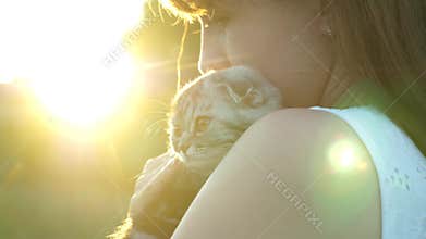 Striped lop-eared Scottish kitten in the hands of his beloved owner in the rays and glare of the sun. little pet. love