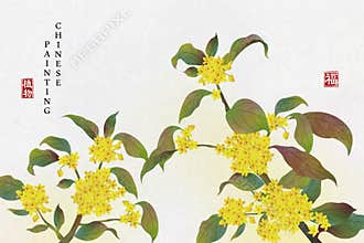 Chinese ink painting art background plant elegant flower Sweet Osmanthus. Chinese translation : Plant and Blessing