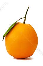 Single Full Orange Fruit