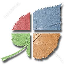 Multicoloured leaf