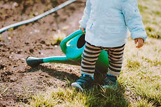 Little toddler baby boy walking with big watering can in garden. Adorable child helping parents to grow vegetables