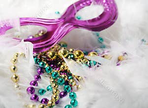 Mardi Gras Mask