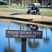 Please Do Not Feed The Alligator Sign