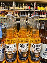 Corona Beer