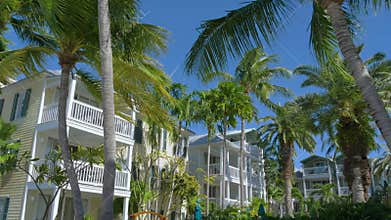 Tall palm trees near an apartment building.