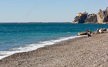 Beach at Sistiana Bay in a Winter Morning