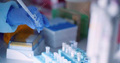 Scientist working in laboratory microbiology