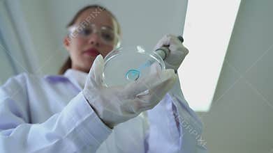 Female medical research scientists adding pipette dropping a colored liquid to petri dish to conduct scientific experiments