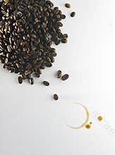 Coffee bean
