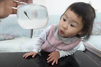 Little daughter gets new friend , tadpole, indoor life