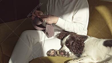 Woman knitting with dog on the couch