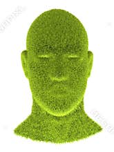 Grass head