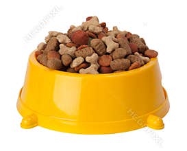 Dog's dry food