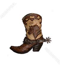 Cowboy boot