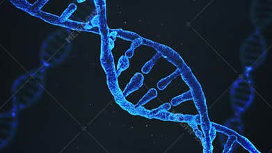 DNA Strands Come Together