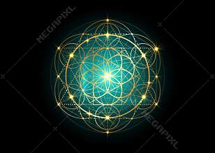 Seed of life symbol Sacred Geometry. Geometric mystic mandala of alchemy esoteric Flower of Life. Gold luxury design, vector