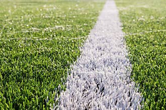 Dew on the artificial grass with white line