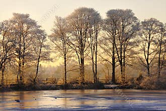 Winter landscape at sunset