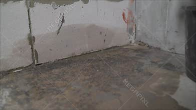 Chicken takes food from a feeder in a chicken coop. On a modern poultry farm, broilers drink water and take medications for