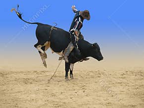 Bull Rider